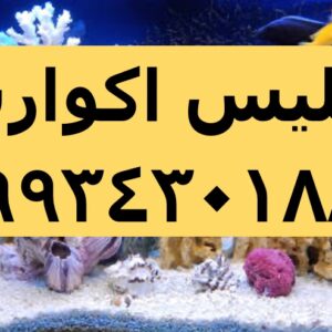 فروش سیلیس اکواریوم، کاربرد سیلیس در کف اکواریوم