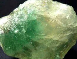 تصویری از فلورین