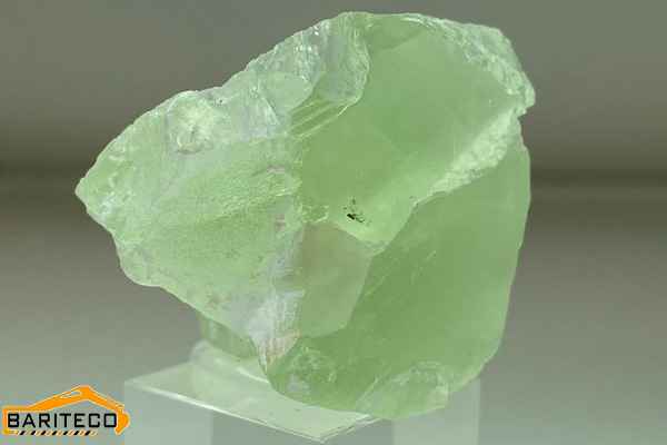 عکسی از فلورین