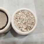 واگذاری معدن فلدسپات پتاسیک